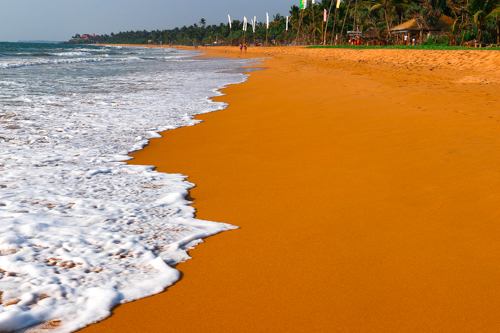 Golden-sand beach Bentota