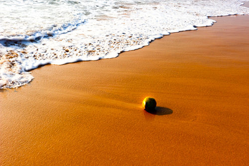 Golden-sand beach Bentota