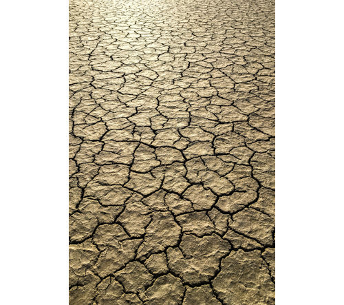 Travel Anza-Borrego Dried Land