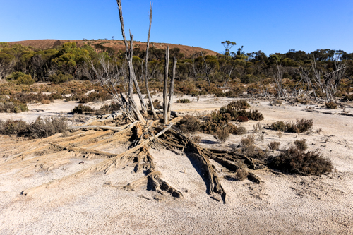 Western Australia Wheatbelt