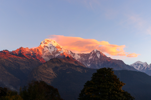 Annapurna trekking: Pinkish morning light at Tadapani