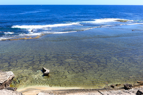 Rottnest Island, Western Australia - Coral