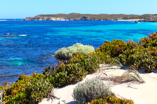 Rottnest Island, Western Australia - Coast