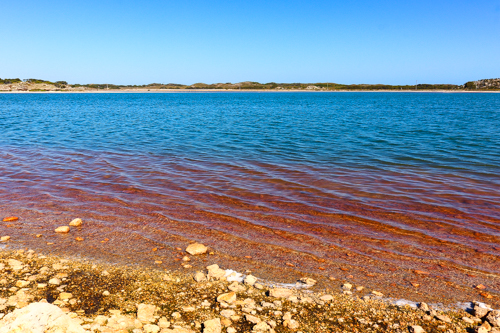 Pinkish salt lake, Rottnest Island