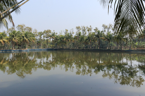 Bangladesh: Inland fish farming 