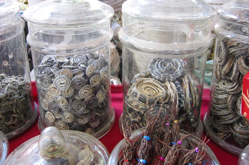 Dried snakes at bazaar in Uyghur, China