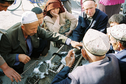 Pet shop at bazaar in Uyghur, China