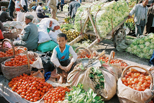 Tomato shop at bazaar in Uyghur, China