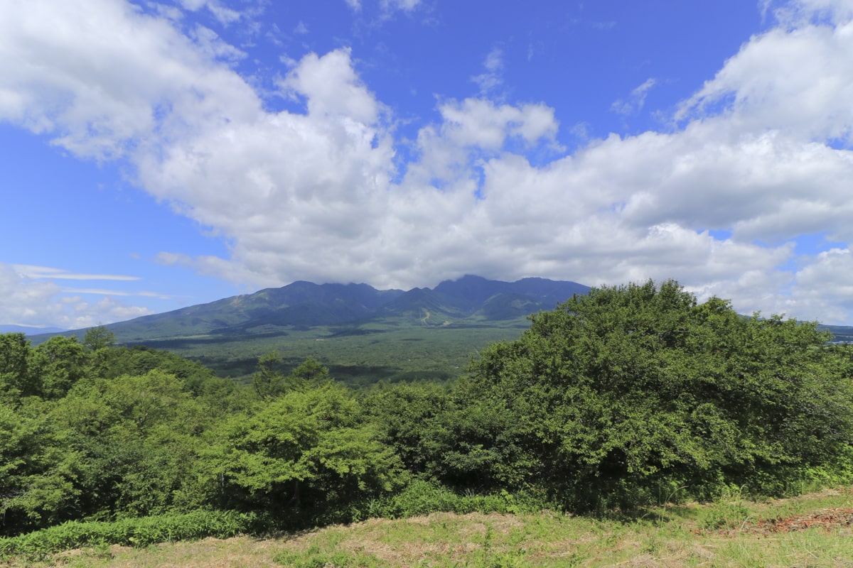 平沢峠　八ヶ岳　長野県　トレッキング