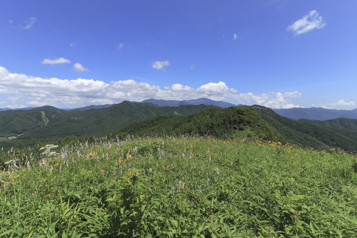 飯盛山　花畑　長野県　トレッキング