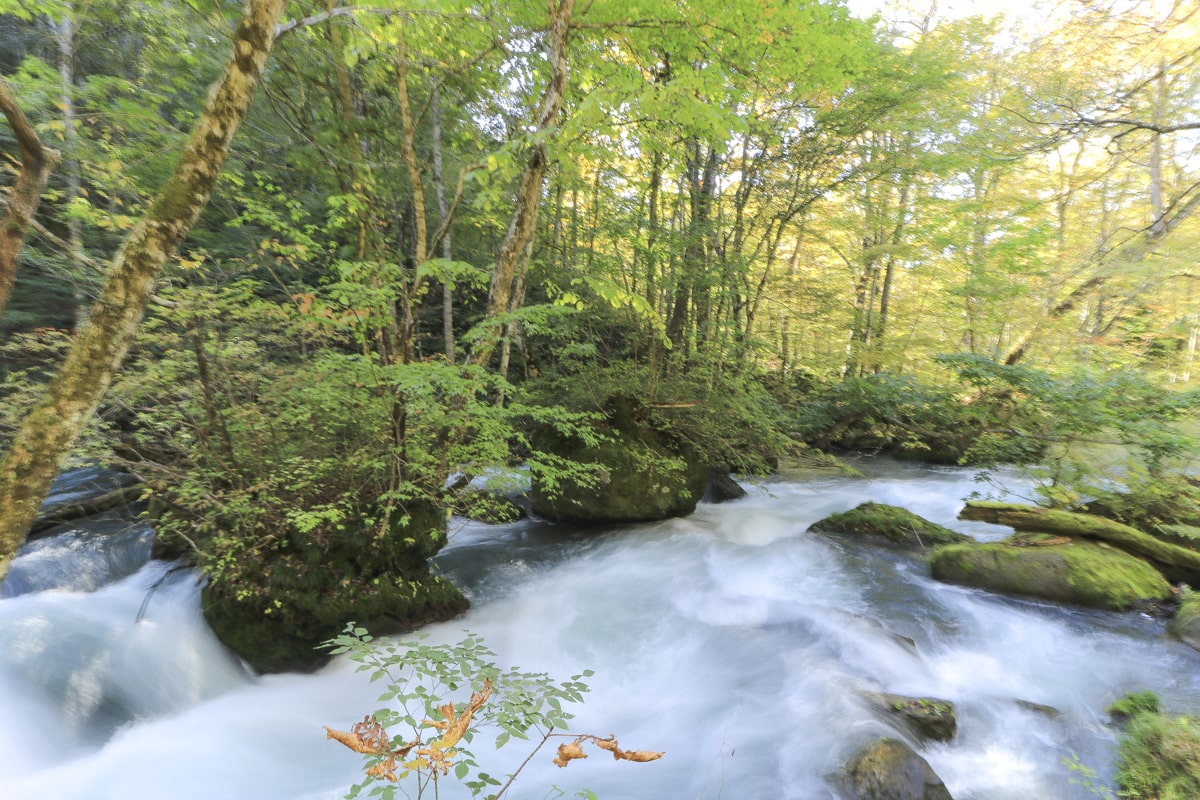 青森県 奥入瀬渓流 