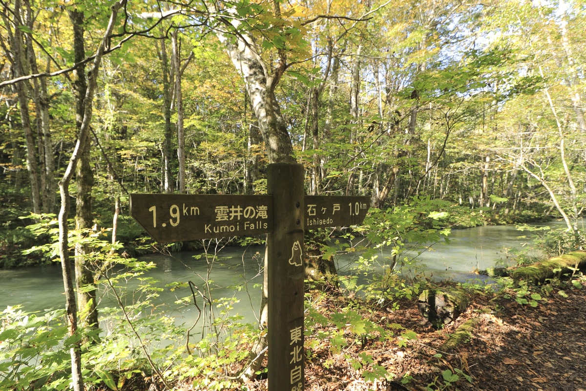 青森県 奥入瀬渓流