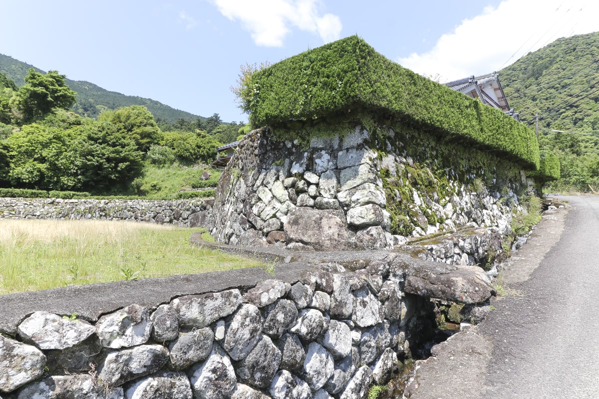 熊野古道　大門坂付近