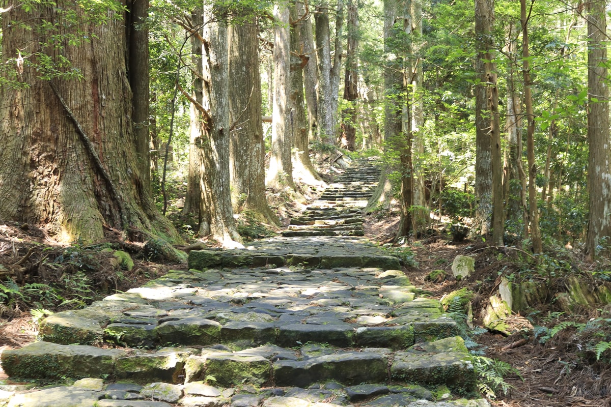 熊野古道　大門坂　