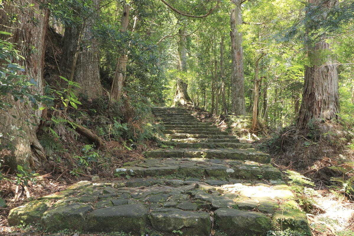 熊野古道　大門坂