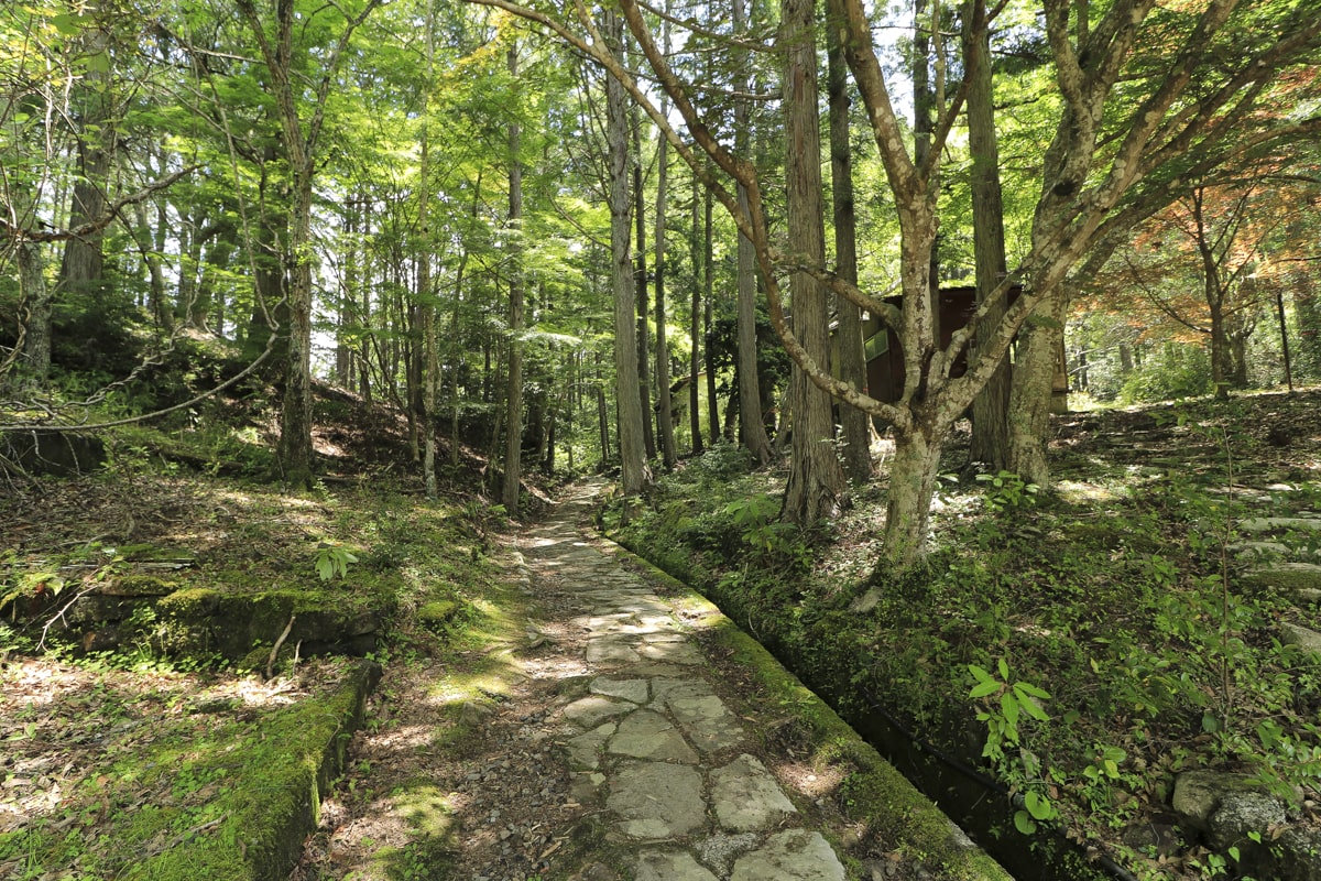 熊野古道・中辺路・発心門王子から熊野大宮大社まで