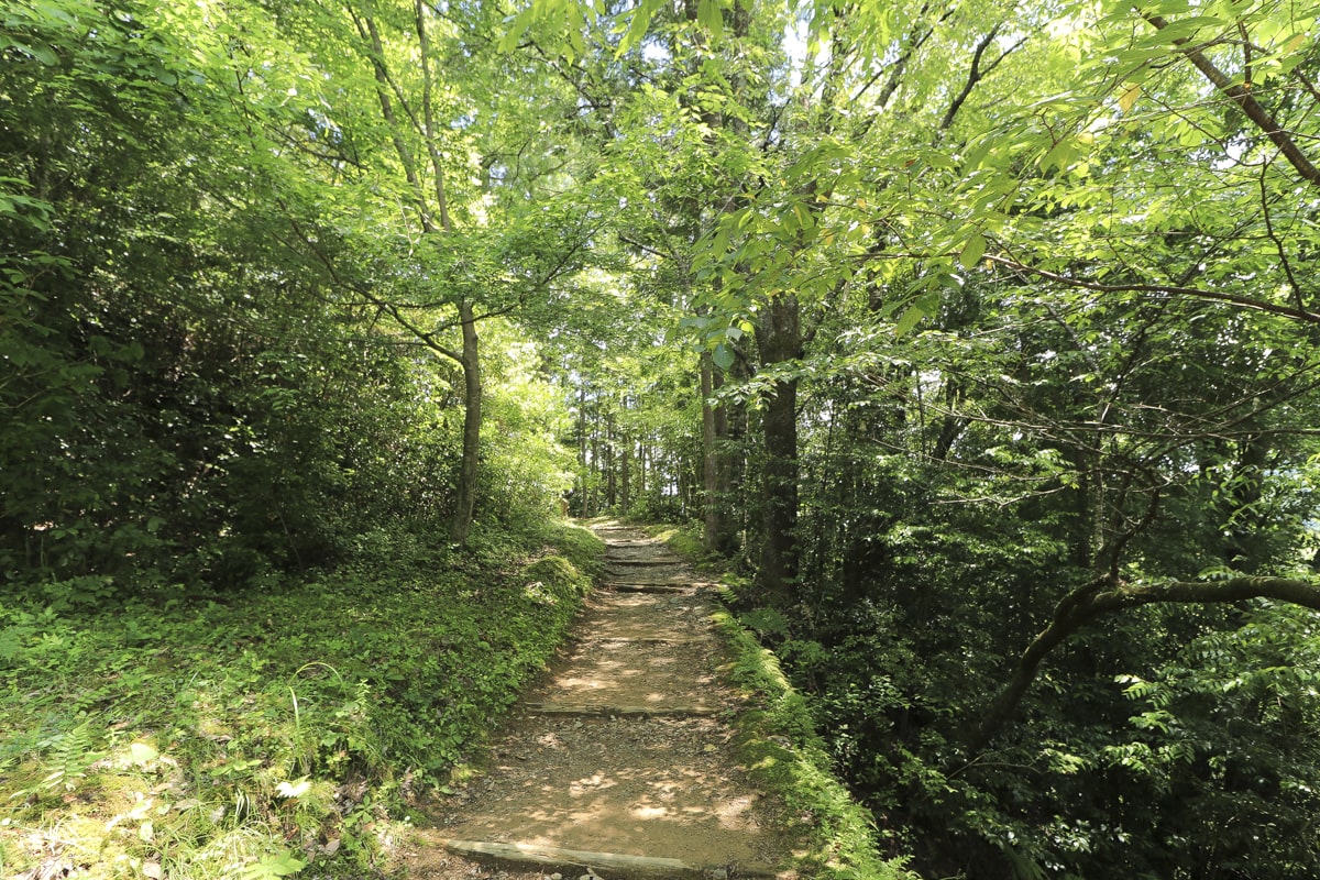 熊野古道・中辺路・発心門王子から熊野大宮大社まで