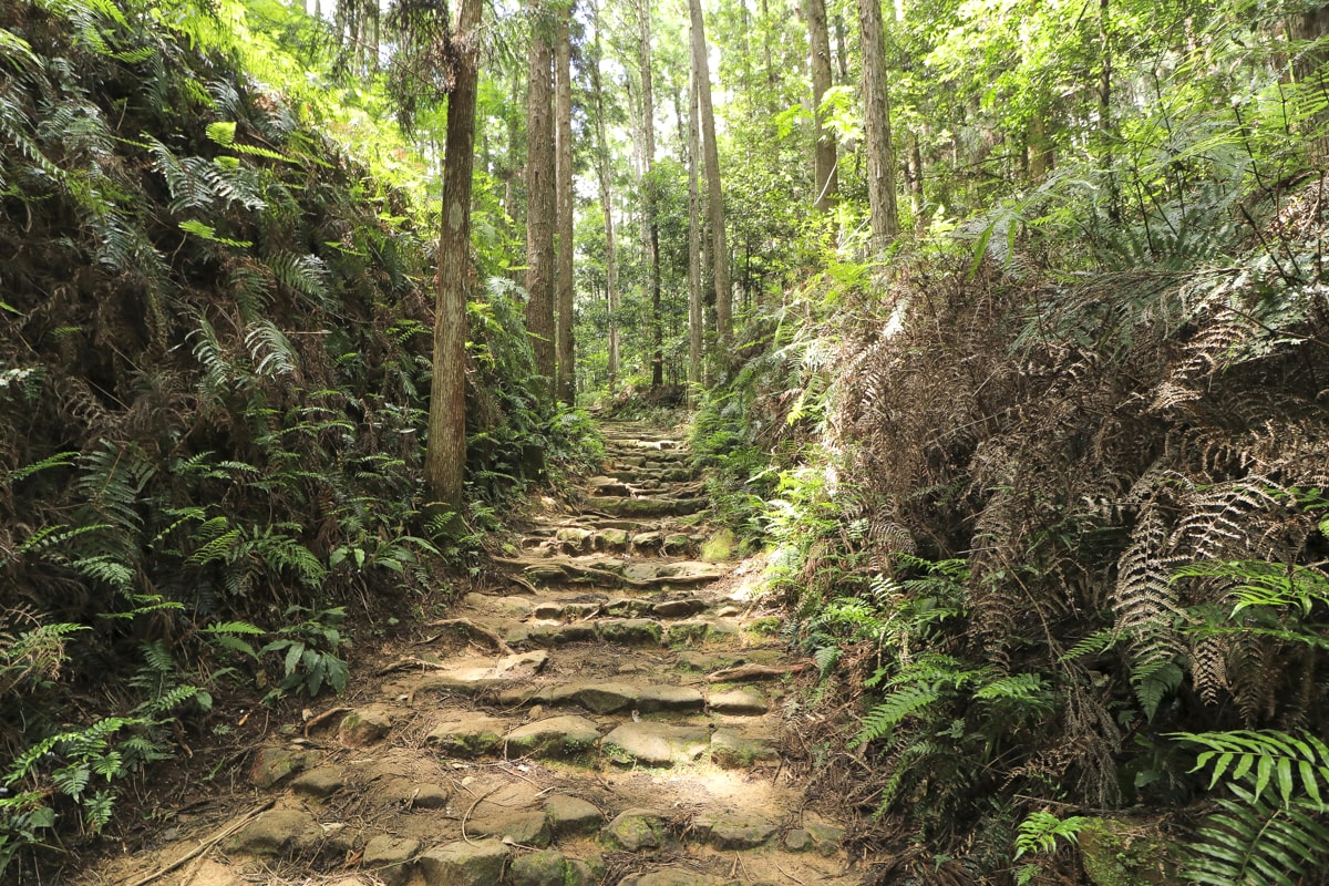 熊野古道・中辺路・発心門王子から熊野大宮大社まで