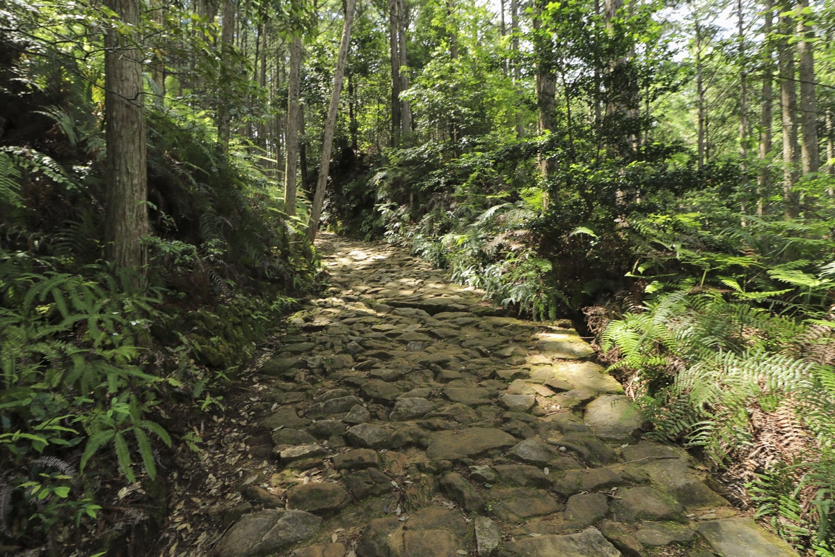 熊野古道・中辺路・発心門王子から熊野大宮大社まで